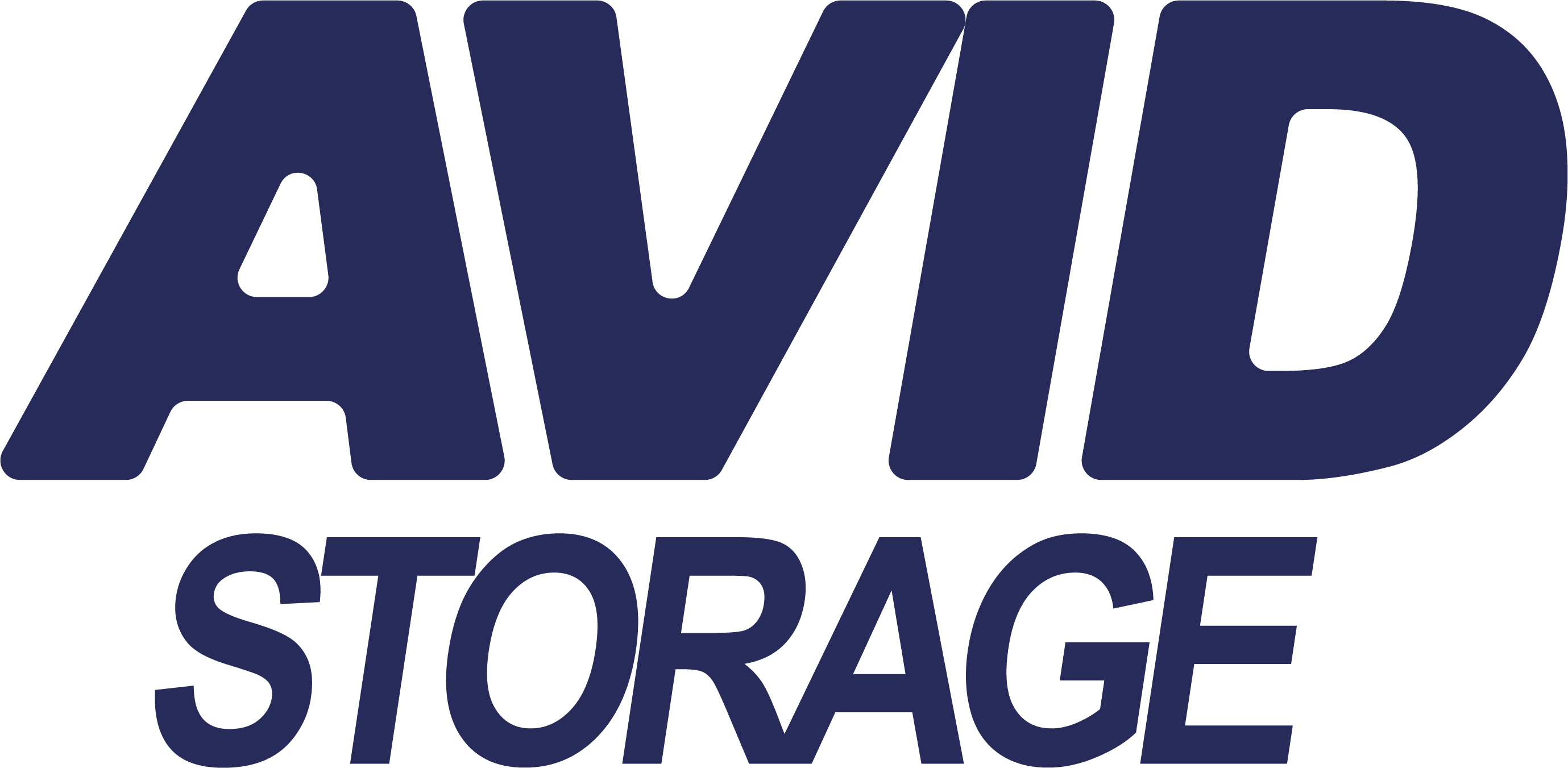 Avid Storage